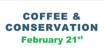 Coffee and Conservation