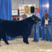 Mvskoke FFA student shines in county show