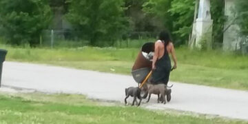 Mvskoke teen dedicates time to community service