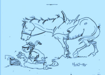 Great TV, mascot update; Colorado Natives to live