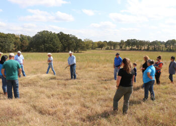 Fourth Annual Plant ID Day