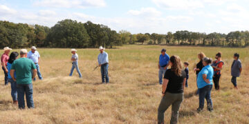 Fourth Annual Plant ID Day