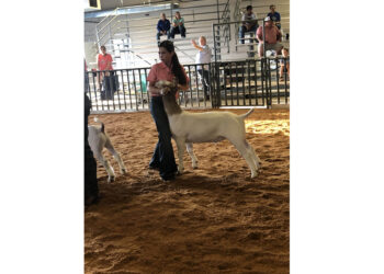 All-Indian Livestock Show returns