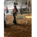 All-Indian Livestock Show returns