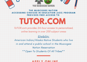 ACE Program offers free tutoring online