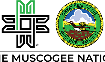 National Council receives Veto