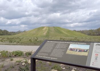 Reyicepes Festival 2022