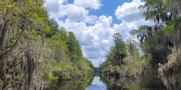 Okefenokee Refuge remains protected from development