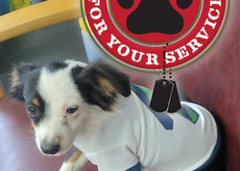 “Thank You for Your Service” program gives back to veterans