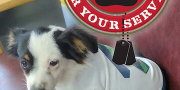 “Thank You for Your Service” program gives back to veterans