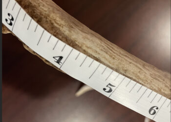 Department of Ag and Natural Resources team up for the Big Buck Contest