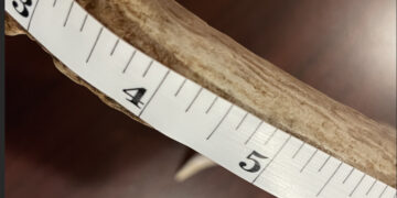 Department of Ag and Natural Resources team up for the Big Buck Contest