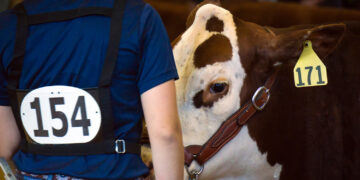 10th annual All-Indian Livestock Show set for Jan. 27 – 29