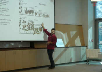 Urban gardening workshop teaches gardening to beginners