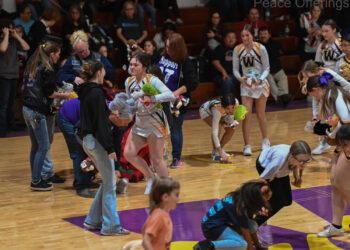 Love and basketball and teddy bears