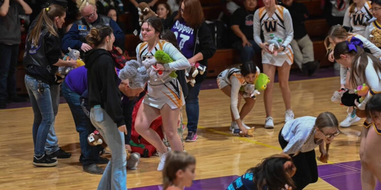 Love and basketball and teddy bears