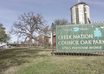 Cycle of rebirth continues at Council Oak Tree Park