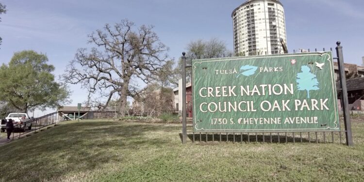 Cycle of rebirth continues at Council Oak Tree Park