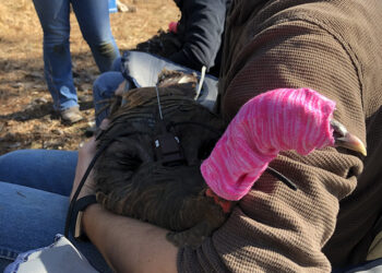 Muscogee Agricultural Department conducts research with grant funds