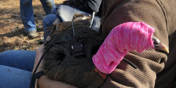 Muscogee Agricultural Department conducts research with grant funds