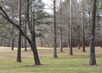 Realty Department assists in ad valorem taxes for at-risk sale of land