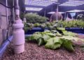 MCN Conservation District uses grant funds to promote aquaponics