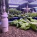 MCN Conservation District uses grant funds to promote aquaponics