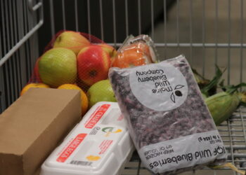 Food distribution offers more for citizens