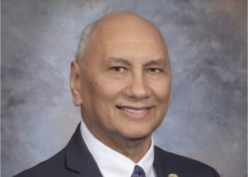 Councilman pleads no contest to assault and battery and public intoxication