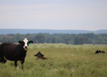 Farm Bill reauthorized to include tribal input