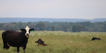 Farm Bill reauthorized to include tribal input