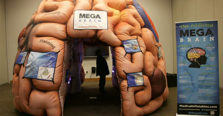 Talk Brain to Me: Why cognitive and mental health matters