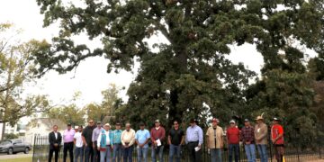 Council Oak Tree Day celebrates Mvskoke resilience