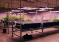 Conservation District hosts aquaponics training