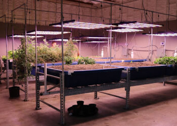 Conservation District hosts aquaponics training