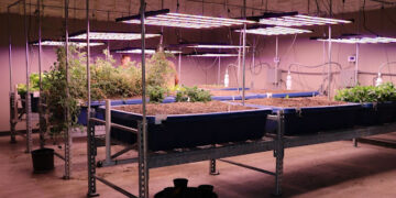 Conservation District hosts aquaponics training