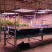Conservation District hosts aquaponics training