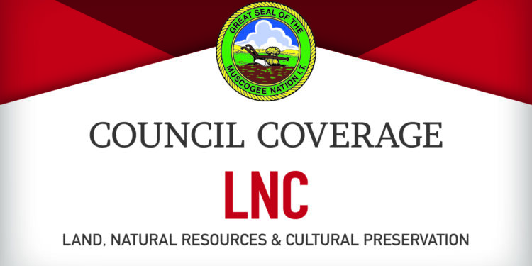 Mvskoke Language Revitalization department seeking to expand public school language programs