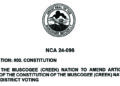 Constitutional amendment vote to appear on 2025 MCN Primary ballot