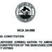 Constitutional amendment vote to appear on 2025 MCN Primary ballot
