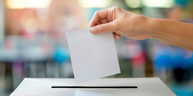 Indian Country makes their voice heard in the 2024 U.S. General Election