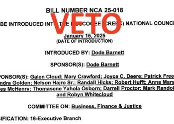 Bill limiting repeated temporary cabinet nominations vetoed by Chief Hill