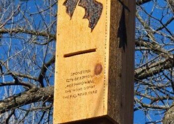 Boy Scout installs bat box for Eagle Scout project