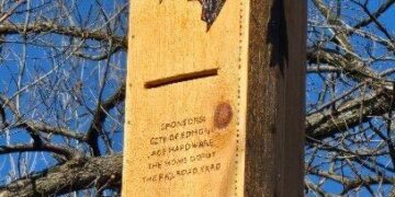 Boy Scout installs bat box for Eagle Scout project