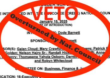 Veto of bill limiting repeated temporary cabinet nominations overturned by National Council