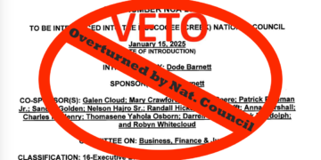 Veto of bill limiting repeated temporary cabinet nominations overturned by National Council