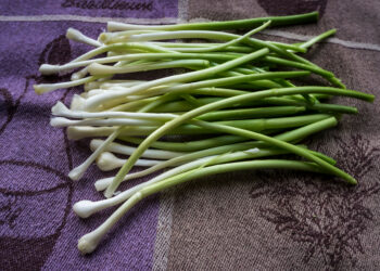 Are those wild onions I smell?