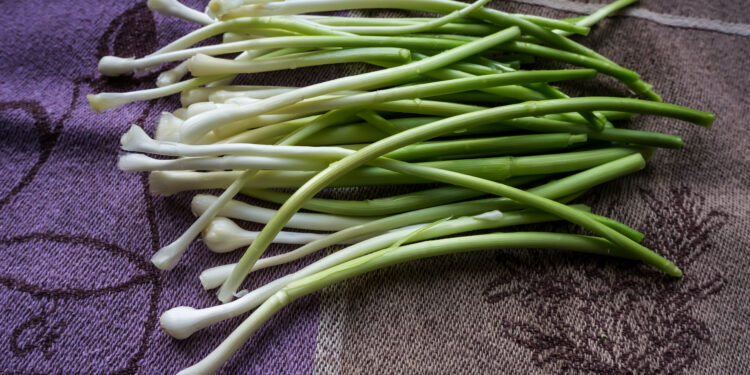 Are those wild onions I smell?