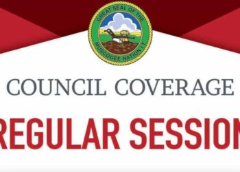 National Council enacts felony child endangerment law