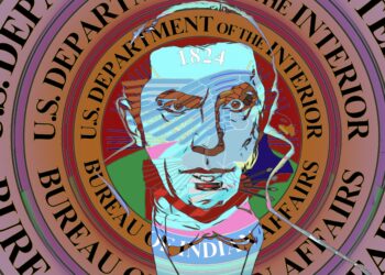 Our sacred laminate: the fragile framework behind the CDIB